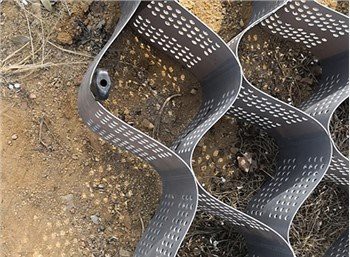 টেক্সচার জিওসেল পেভার